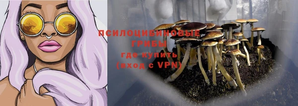 прущий лед Армянск